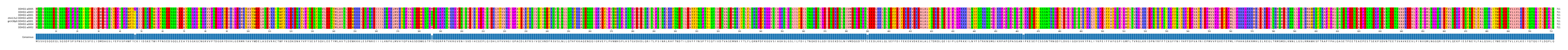 Multiple Alignments (by translate haplotype similarity)