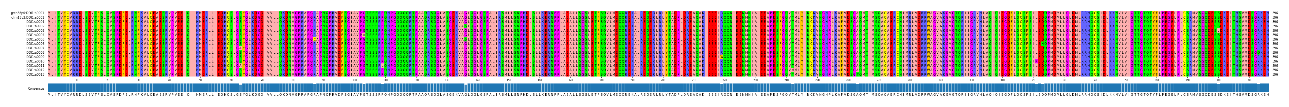 Multiple Alignments (by translate haplotype frequency)