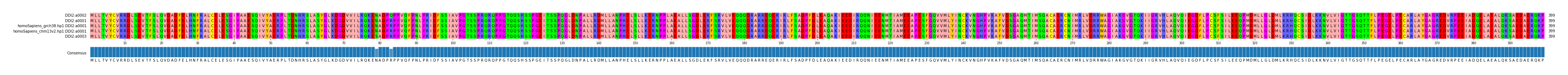 Multiple Alignments (by translate haplotype similarity)