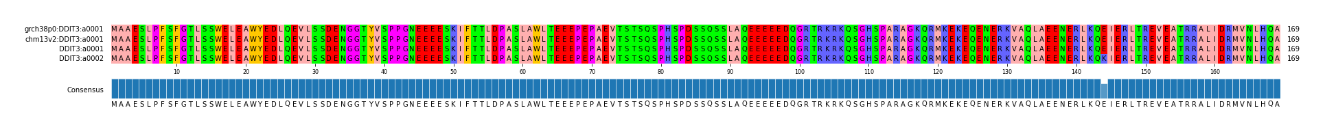 Multiple Alignments (by translate haplotype similarity)
