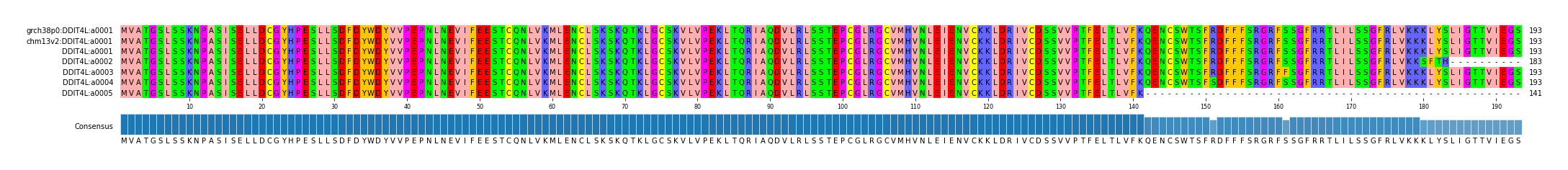 Multiple Alignments (by translate haplotype frequency)