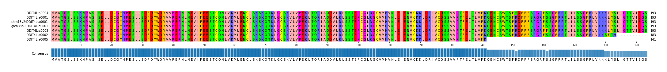 Multiple Alignments (by translate haplotype similarity)