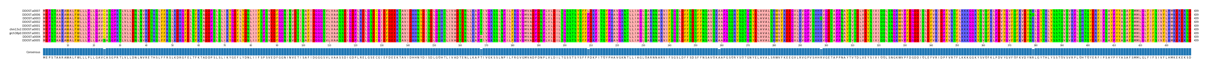Multiple Alignments (by translate haplotype similarity)