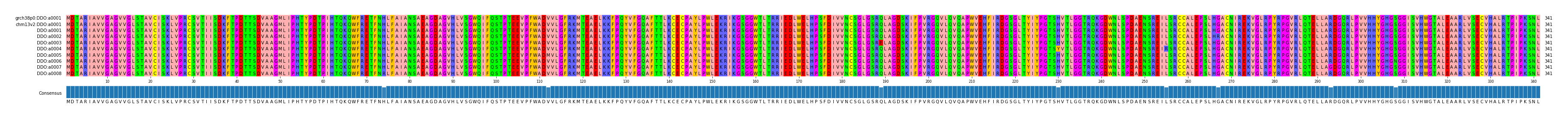 Multiple Alignments (by translate haplotype frequency)
