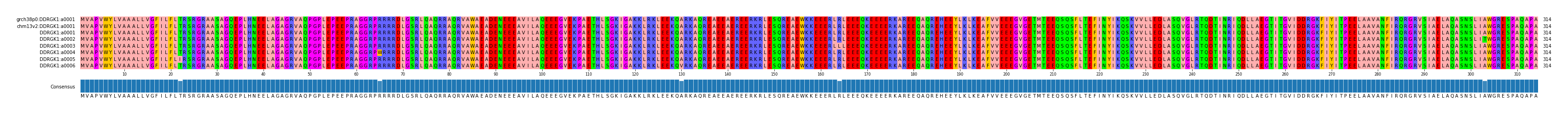 Multiple Alignments (by translate haplotype frequency)