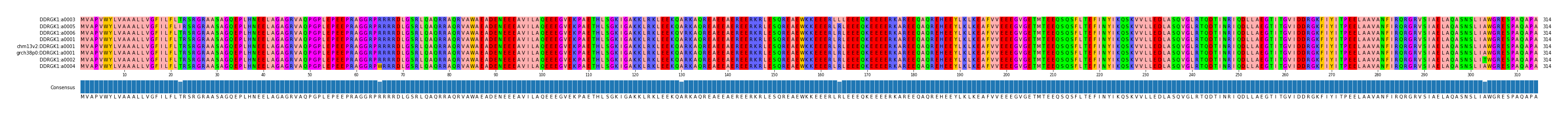 Multiple Alignments (by translate haplotype similarity)