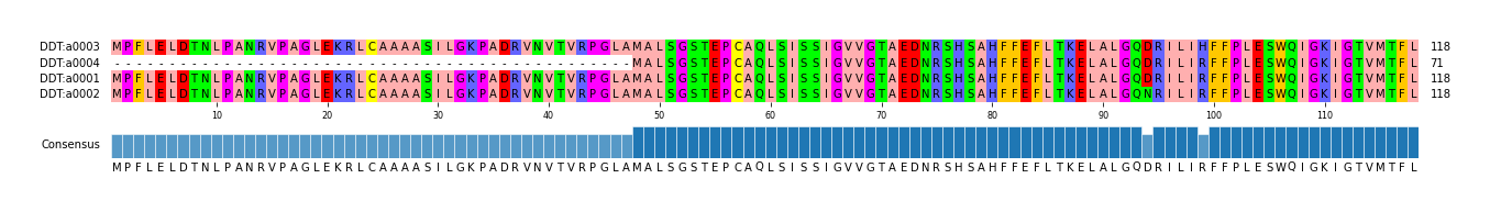 Multiple Alignments (by translate haplotype similarity)