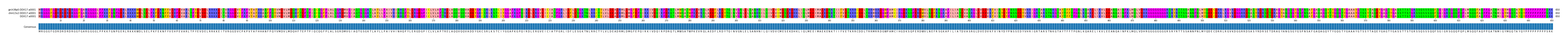 Multiple Alignments (by translate haplotype similarity)