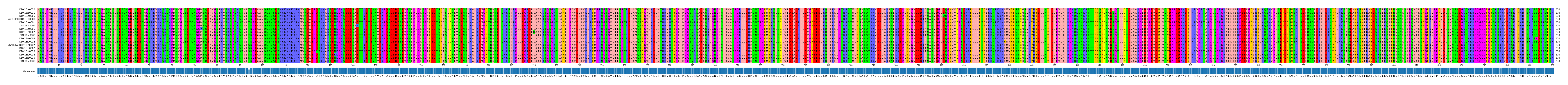 Multiple Alignments (by translate haplotype similarity)