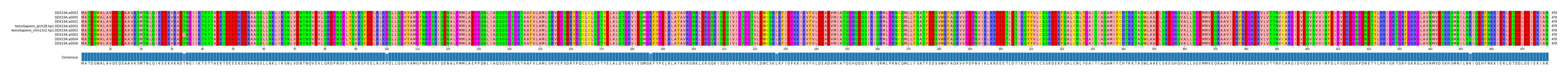 Multiple Alignments (by translate haplotype similarity)