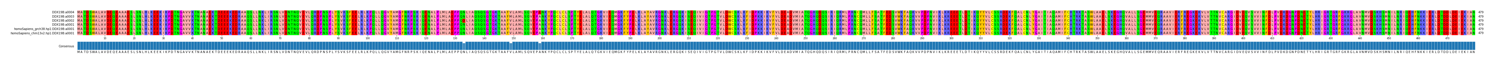 Multiple Alignments (by translate haplotype similarity)