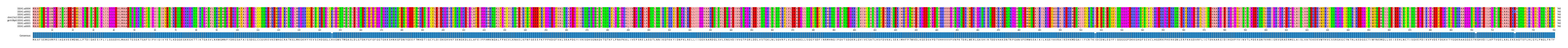 Multiple Alignments (by translate haplotype similarity)
