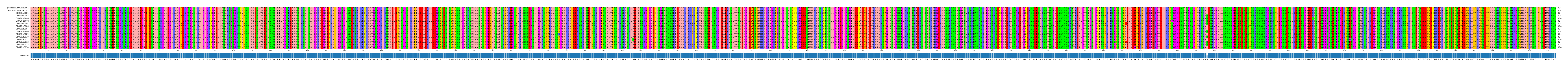 Multiple Alignments (by translate haplotype frequency)