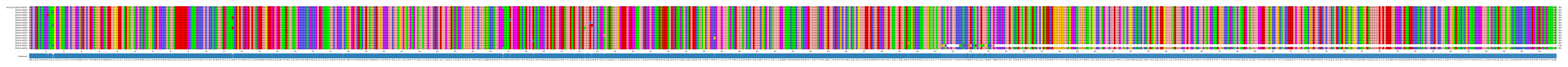 Multiple Alignments (by translate haplotype frequency)