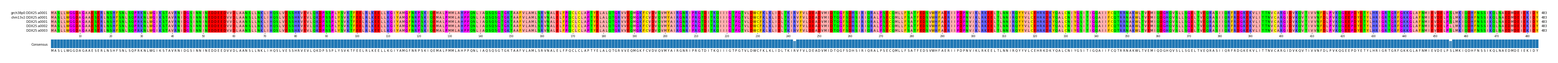 Multiple Alignments (by translate haplotype frequency)