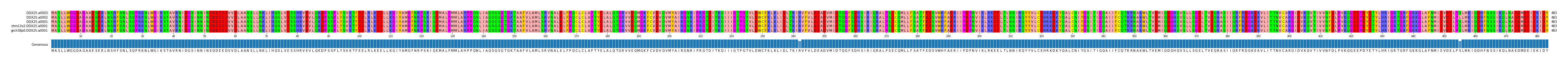 Multiple Alignments (by translate haplotype similarity)