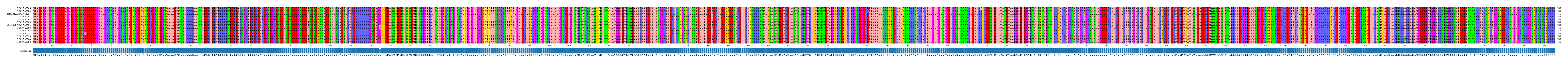Multiple Alignments (by translate haplotype similarity)