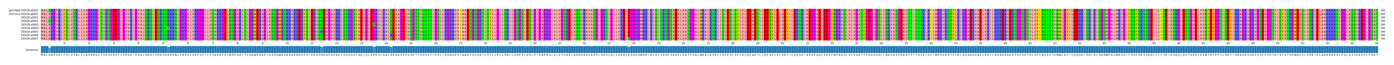 Multiple Alignments (by translate haplotype frequency)
