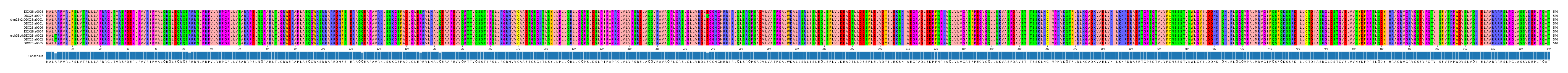 Multiple Alignments (by translate haplotype similarity)