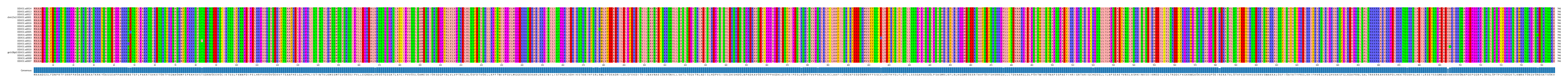 Multiple Alignments (by translate haplotype similarity)