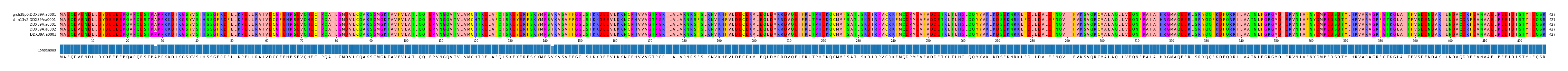 Multiple Alignments (by translate haplotype frequency)