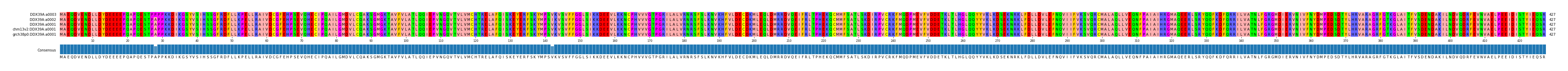 Multiple Alignments (by translate haplotype similarity)