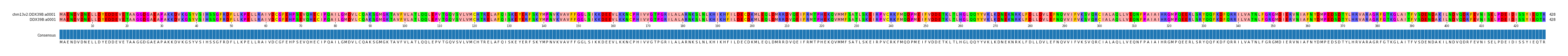 Multiple Alignments (by translate haplotype similarity)