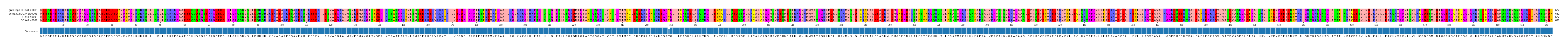 Multiple Alignments (by translate haplotype similarity)
