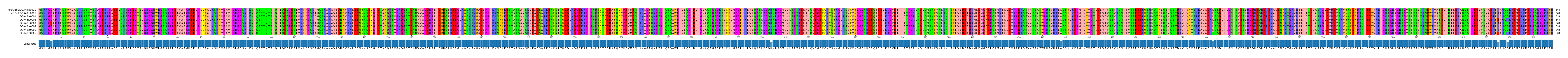 Multiple Alignments (by translate haplotype frequency)