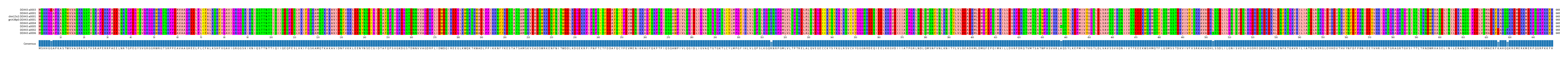 Multiple Alignments (by translate haplotype similarity)
