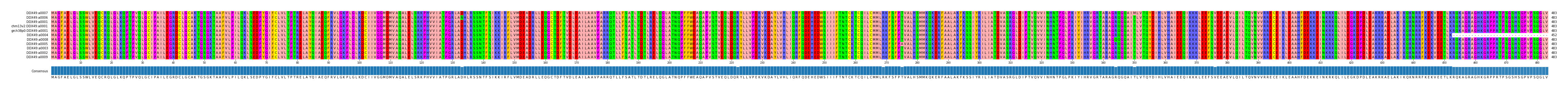 Multiple Alignments (by translate haplotype similarity)