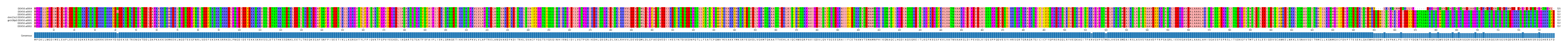 Multiple Alignments (by translate haplotype similarity)