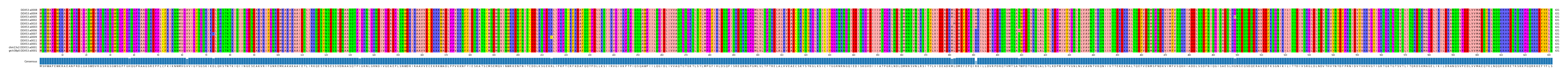 Multiple Alignments (by translate haplotype similarity)