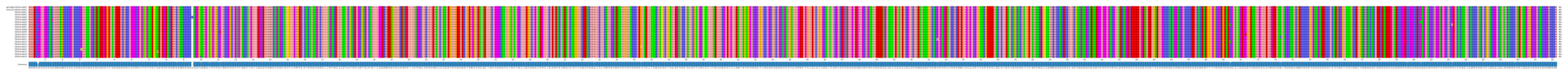 Multiple Alignments (by translate haplotype frequency)