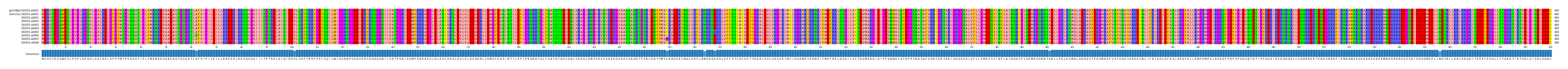 Multiple Alignments (by translate haplotype frequency)