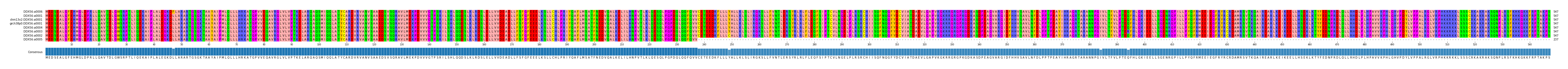 Multiple Alignments (by translate haplotype similarity)