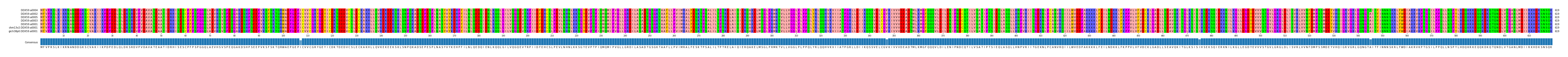 Multiple Alignments (by translate haplotype similarity)