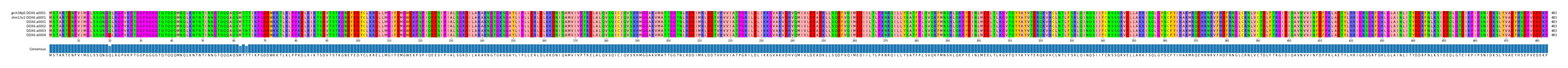 Multiple Alignments (by translate haplotype frequency)