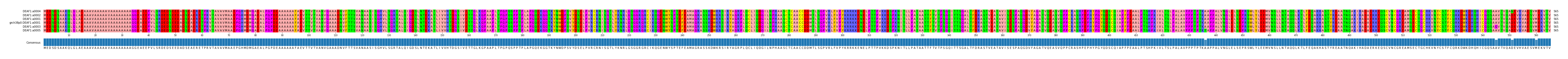 Multiple Alignments (by translate haplotype similarity)