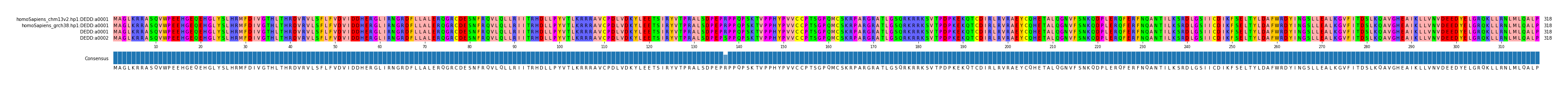 Multiple Alignments (by translate haplotype frequency)