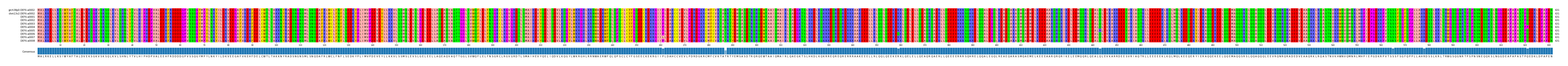 Multiple Alignments (by translate haplotype frequency)
