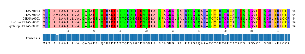 Multiple Alignments (by translate haplotype similarity)
