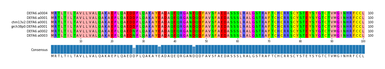 Multiple Alignments (by translate haplotype similarity)