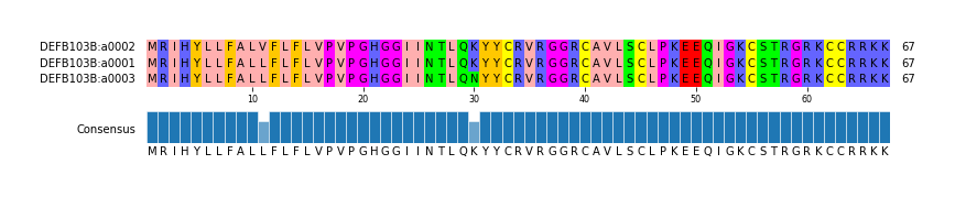 Multiple Alignments (by translate haplotype similarity)