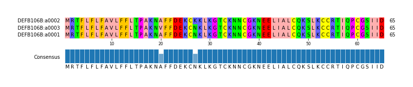 Multiple Alignments (by translate haplotype similarity)