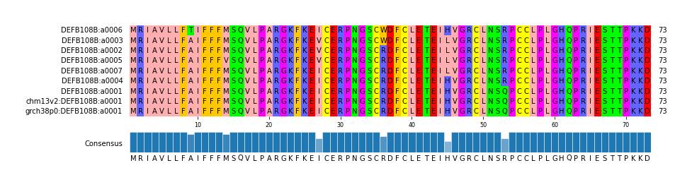 Multiple Alignments (by translate haplotype similarity)