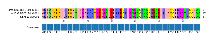 Multiple Alignments (by translate haplotype similarity)