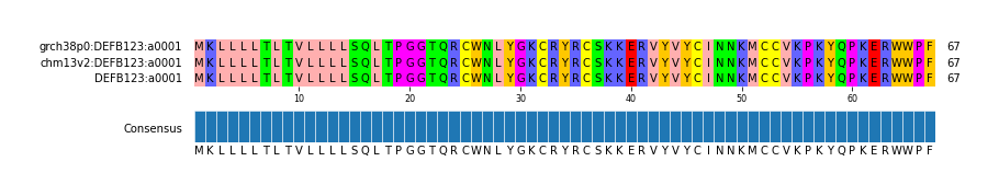 Multiple Alignments (by translate haplotype similarity)