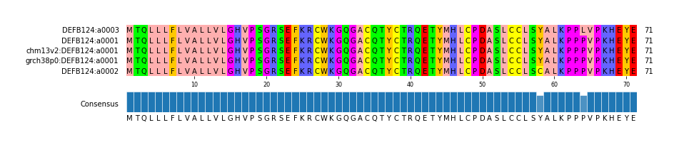 Multiple Alignments (by translate haplotype similarity)