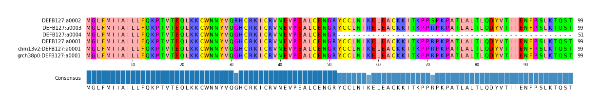 Multiple Alignments (by translate haplotype similarity)